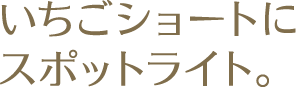 いちごショートにスポットライト。